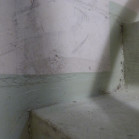 P1120937
